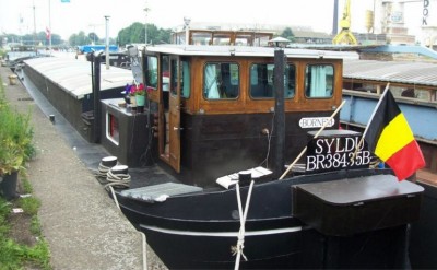 syldu arrière.jpg (75.92 Kio) Vu 6549 fois syldu arrière.jpg