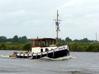 orca-1-01-09-2013.jpg