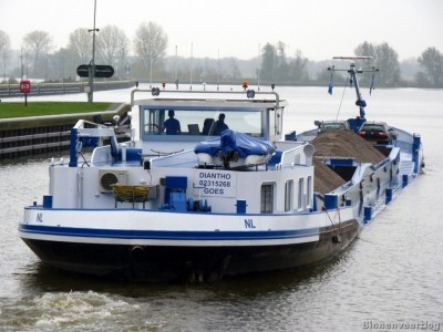 Diantho-9-06-11-2013.jpg