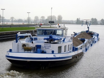 Diantho-8-06-11-2013.jpg