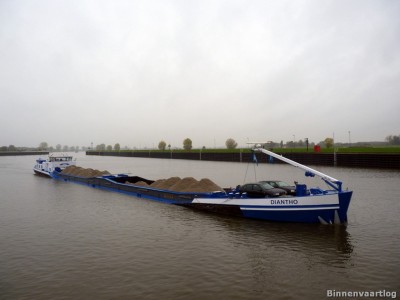Diantho-7-06-11-2013.jpg