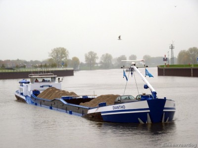 Diantho-5-06-11-2013.jpg