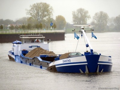 Diantho-4-06-11-2013.jpg