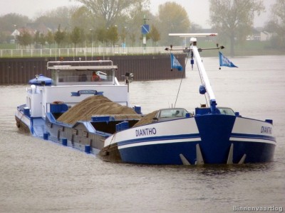 Diantho-3-06-11-2013.jpg
