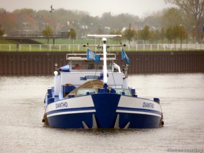 Diantho-2-06-11-2013.jpg