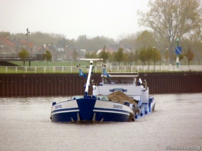 Diantho-1-06-11-2013.jpg