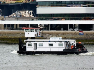 adelaar-3-rotterdam-16-03-2013.jpg