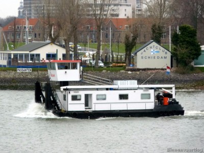 adelaar-2-rotterdam-16-03-2013.jpg