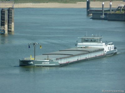 octopus-1-06-09-2013.jpg (161.97 Kio) Vu 1234 fois octopus-1-06-09-2013.jpg