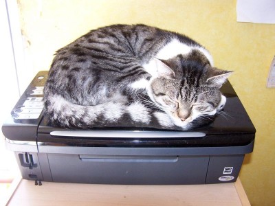 091016 002 - 800.jpg (90.86 Kio) Vu 12962 fois 091016 002 - 800.jpg