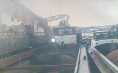 REMUS.jpg (72.73 Kio) Vu 5820 fois REMUS.jpg