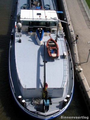 tadorna-3-28-08-2009.jpg