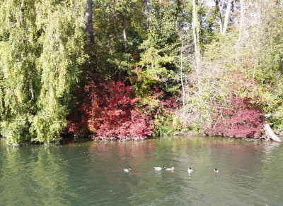 PA185521.JPG (190.09 Kio) Vu 5311 fois PA185521.JPG