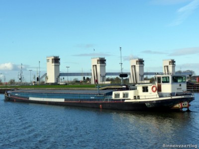 cest-la-vie-5-25-11-2013.jpg