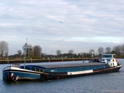 cest-la-vie-3-25-11-2013.jpg