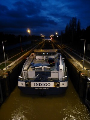 P1100716INDIGO.jpg