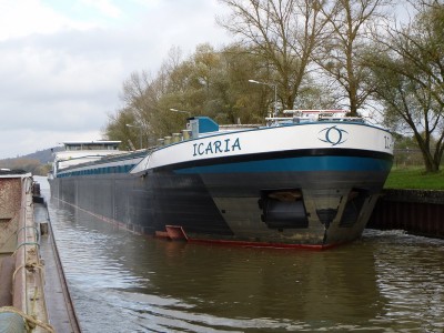P1100469ICARIA.jpg