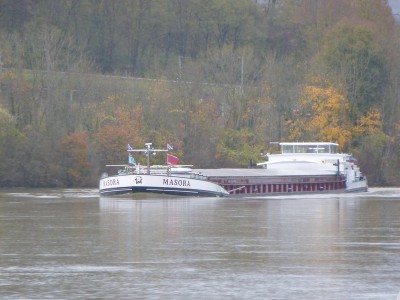 P1100492MASORA.jpg