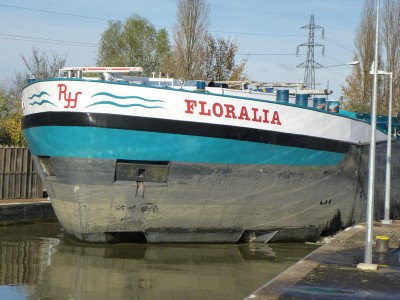 P1100680FLORALIA.jpg