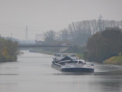 P1100569VIVADEROR.jpg