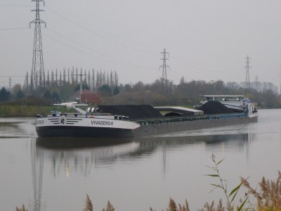 P1100574VIVADEROR.jpg