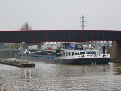 P1100584VIVADEROR.jpg