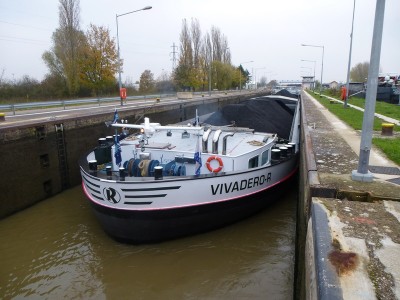 P1100589VIVADEROR.jpg
