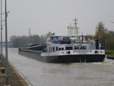 P1100592VIVADEROR.jpg