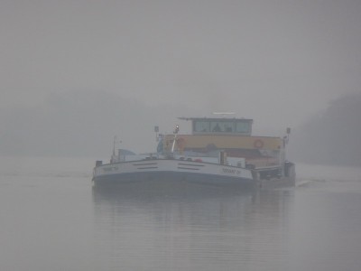 P1110087TERVANT154.jpg