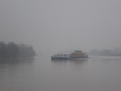 P1110094TERVANT154.jpg