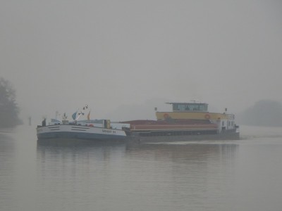 P1110097TERVANT154.jpg