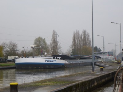 P1110142PRONTO.jpg