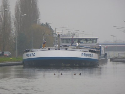 P1110145PRONTO.jpg