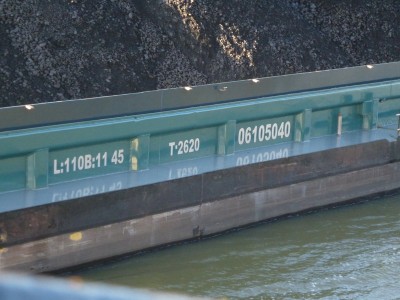 P1110221VILARDO.jpg