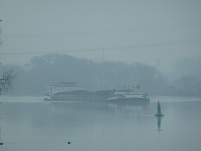 P1110059RITRABO.jpg (61.04 Kio) Vu 4026 fois P1110059RITRABO.jpg