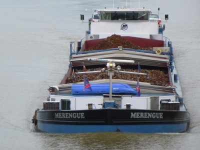 P1100668MERENGUE.jpg (129.91 Kio) Vu 2975 fois P1100668MERENGUE.jpg