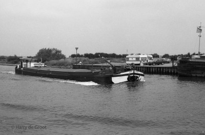 Aktief 02316369 (1).jpg