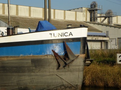 P1120067TUNICA.jpg