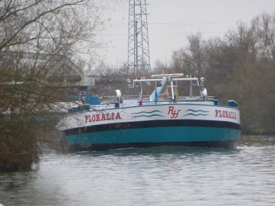 P1110630FLORALIA.jpg