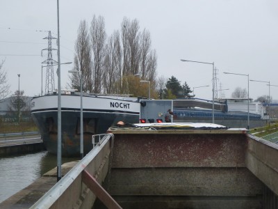 P1110726NOCHT.jpg
