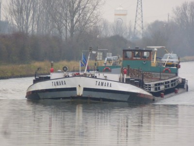 P1110525TAMARA.jpg