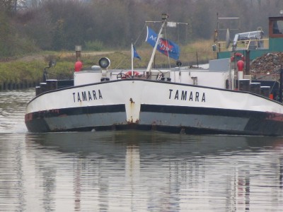 P1110527TAMARA.jpg