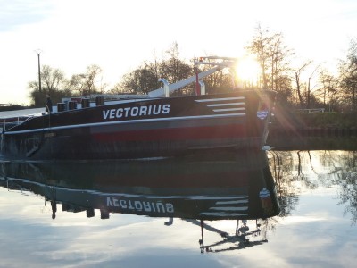 P1120297VECTORIUS.jpg