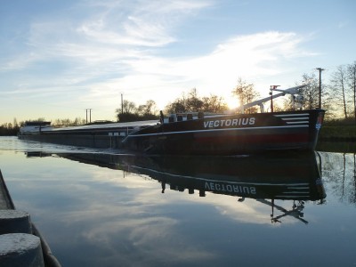 P1120298VECTORIUS.jpg