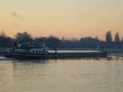 P1120259SIGNUM.jpg