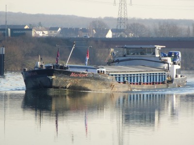 P1120345MARLESRI.jpg