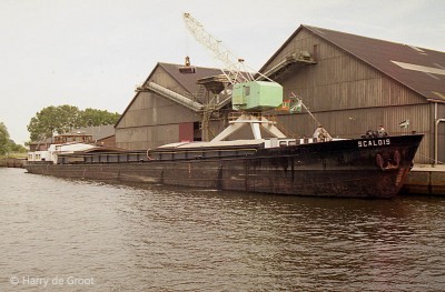Scaldis 2314227 01.jpg