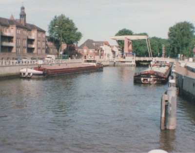 buisson 007.jpg (215.34 Kio) Vu 1085 fois buisson 007.jpg