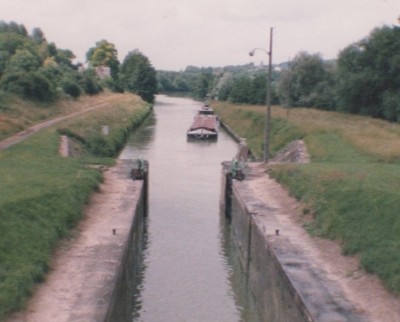 buisson 005.jpg (138.94 Kio) Vu 1085 fois buisson 005.jpg