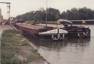 buisson 001.jpg (189.27 Kio) Vu 1085 fois buisson 001.jpg